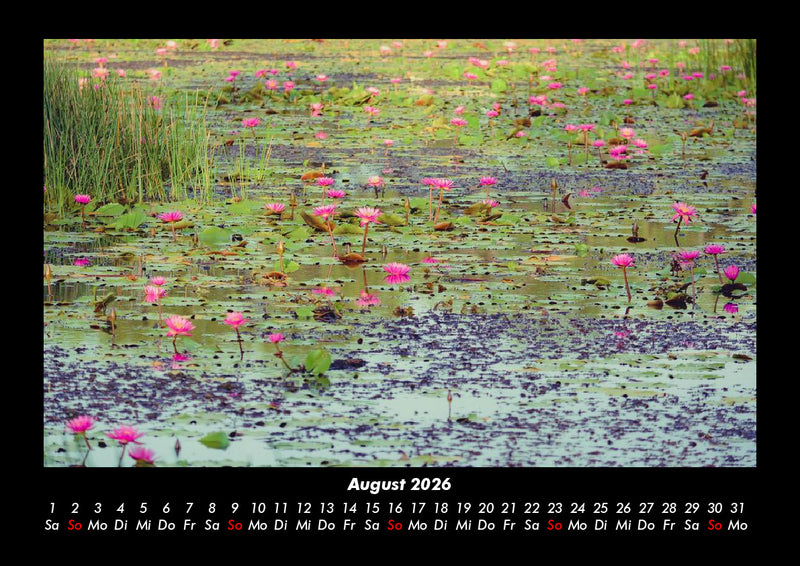 Rosentraum Fotokalender 2026 - 8