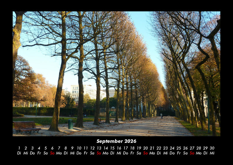 Bäume Fotokalender 2026 - 9