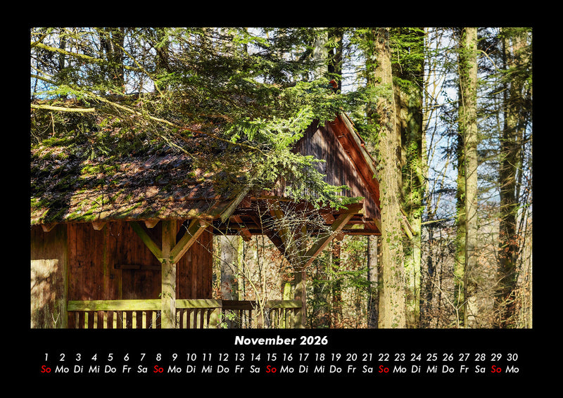 Bäume Fotokalender 2026 - 11