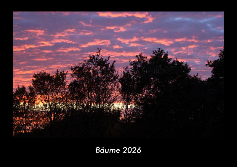Bäume Fotokalender 2026 - Hauptbild