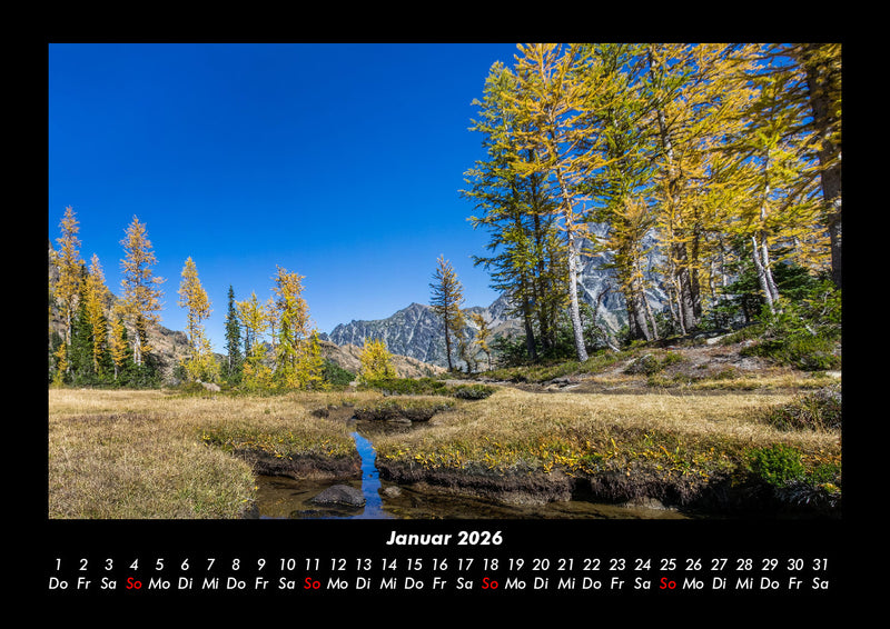 Bäume Fotokalender 2026 - 1