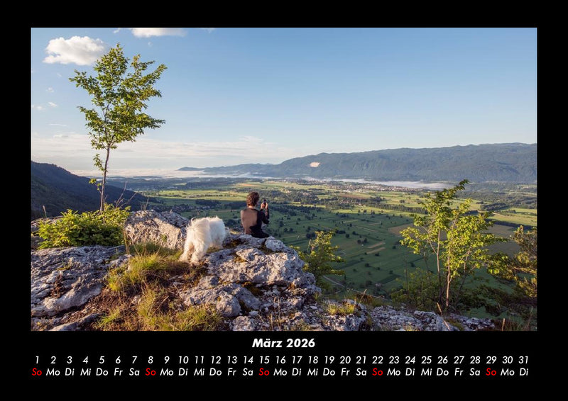 Bäume Fotokalender 2026 - 3
