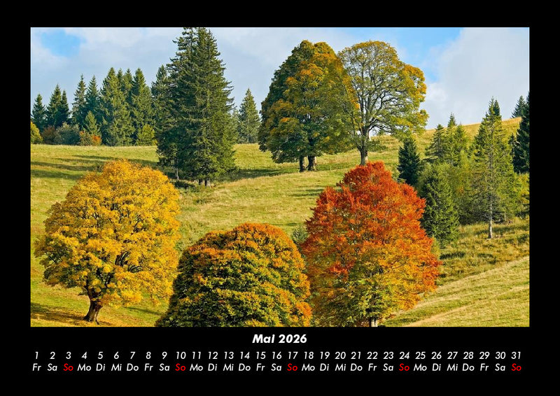 Bäume Fotokalender 2026 - 5