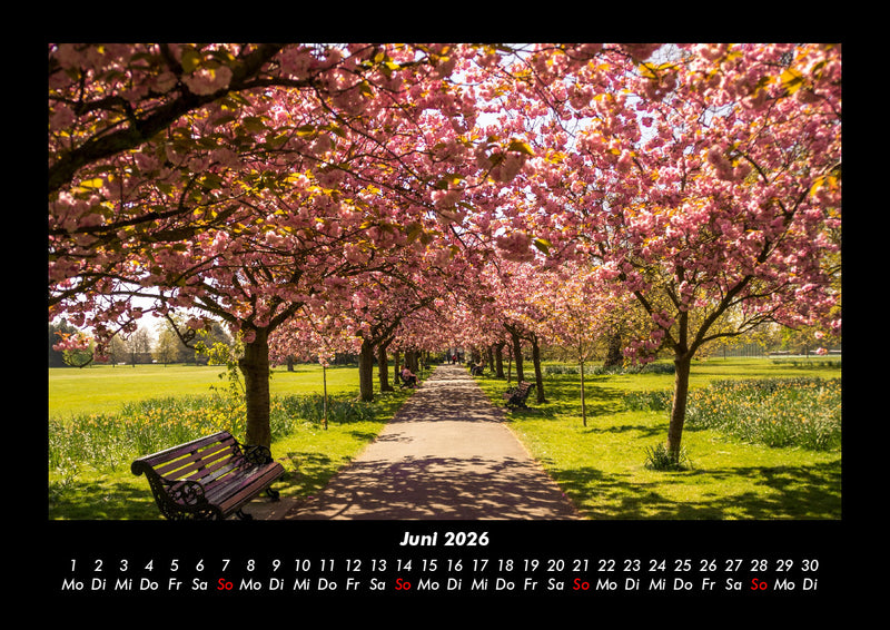 Bäume Fotokalender 2026 - 6