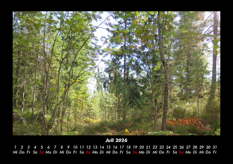 Bäume Fotokalender 2026 - 7