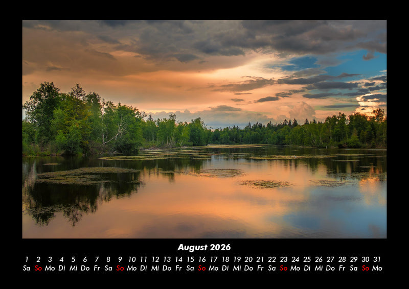 Bäume Fotokalender 2026 - 8