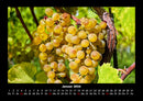 Obstkalender Fotokalender 2026 - 1