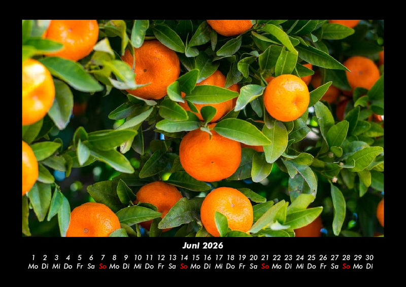 Obstkalender Fotokalender 2026 - 6