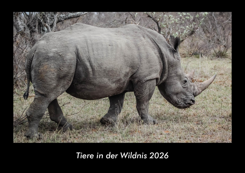 Tiere in der Wildnis Fotokalender 2026 - Hauptbild