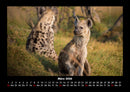 Tiere in der Wildnis Fotokalender 2026 - 3
