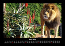 Tiere in der Wildnis Fotokalender 2026 - 4