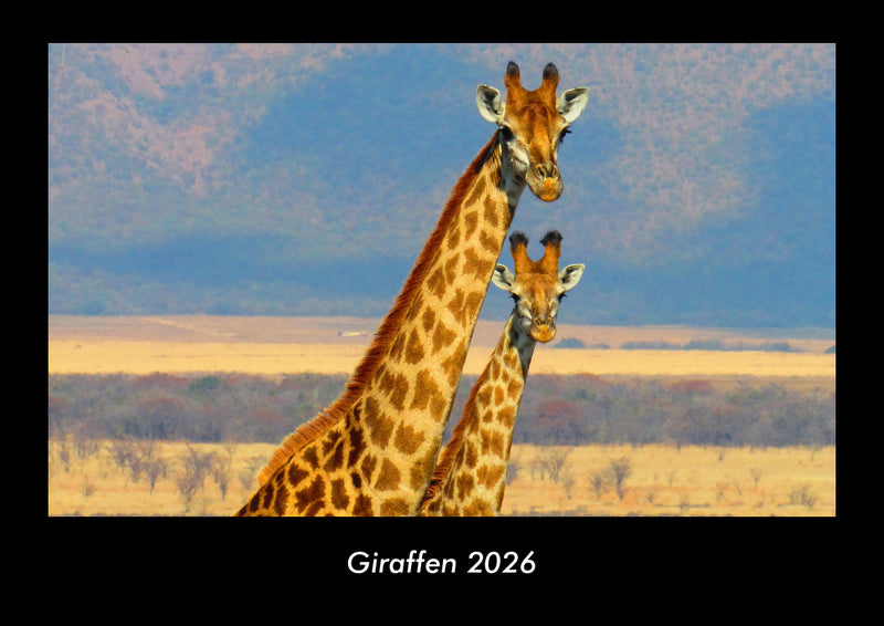 Giraffen Fotokalender 2026 - Hauptbild