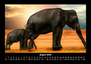 Der Elefantenkalender Fotokalender 2026 - 8