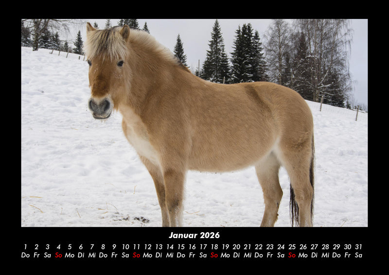 Die Welt der Pferde Fotokalender 2026 - 1