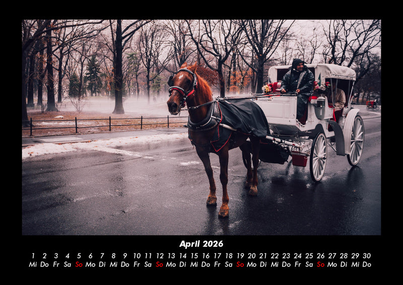 Die Welt der Pferde Fotokalender 2026 - 4