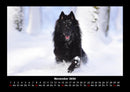 Hundezauber Fotokalender 2026 - 11