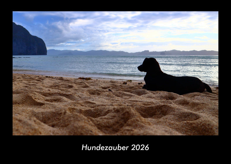 Hundezauber Fotokalender 2026 - Hauptbild