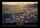 Blumenkalender Fotokalender 2026 - 12