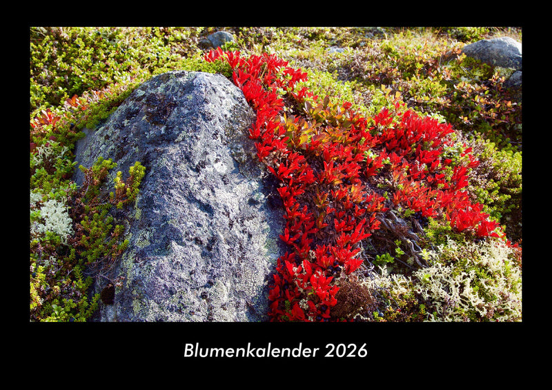 Blumenkalender Fotokalender 2026 - Hauptbild