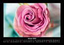 Blumenkalender Fotokalender 2026 - 1
