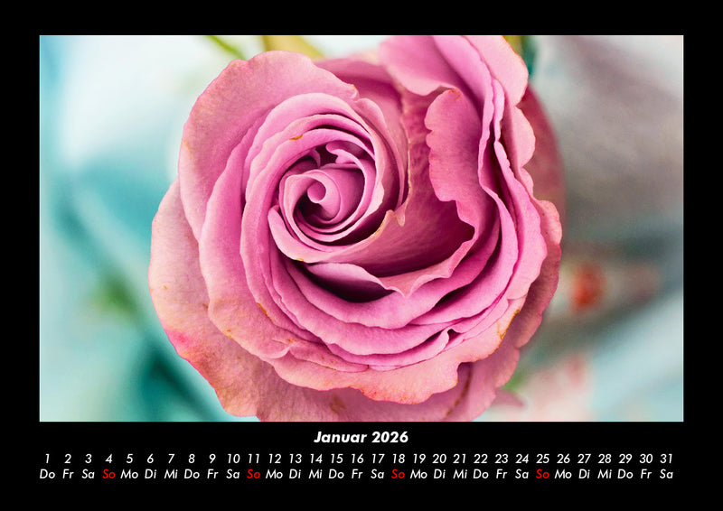 Blumenkalender Fotokalender 2026 - 1