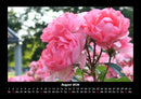 Blumenkalender Fotokalender 2026 - 8