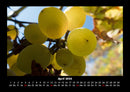 Obstkalender Fotokalender 2026 - 4