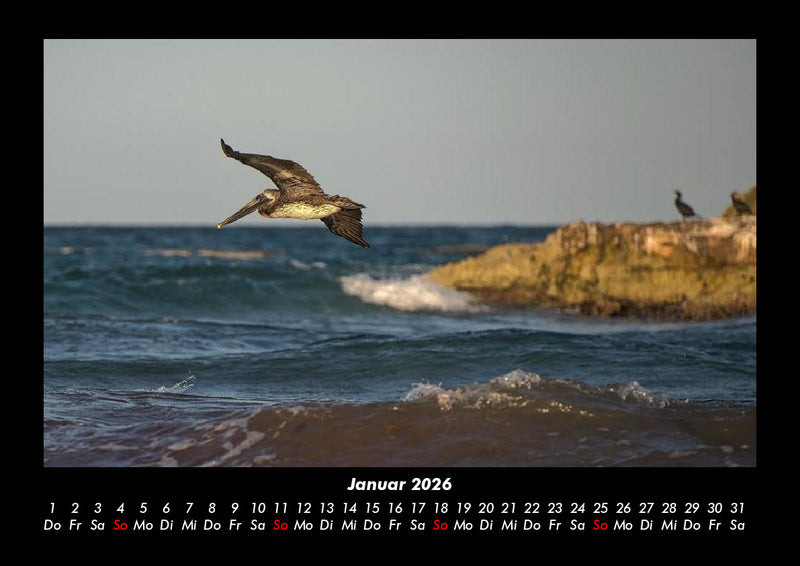 Welt der Vögel Fotokalender 2026 - 1
