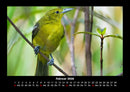 Welt der Vögel Fotokalender 2026 - 2