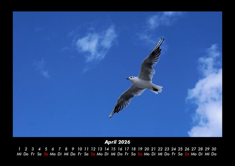Welt der Vögel Fotokalender 2026 - 4