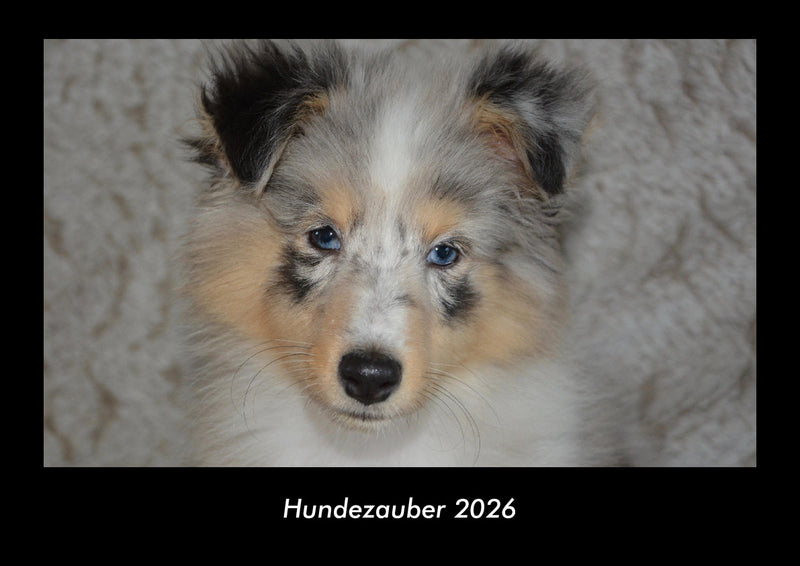 Hundezauber Fotokalender 2026 - Hauptbild