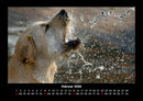 Hundezauber Fotokalender 2026 - 2