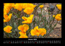 Blumenträume Fotokalender 2026 - 1