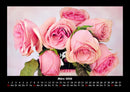 Blumenträume Fotokalender 2026 - 3