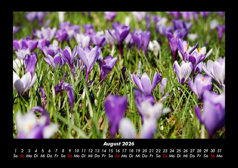 Blumenträume Fotokalender 2026 - 8