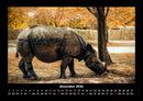 Tiere in der Wildnis Fotokalender 2026 - 12