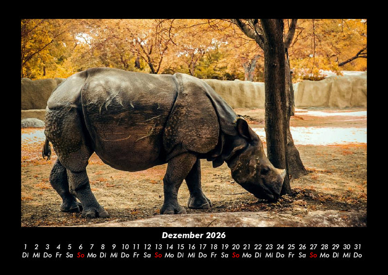 Tiere in der Wildnis Fotokalender 2026 - 12