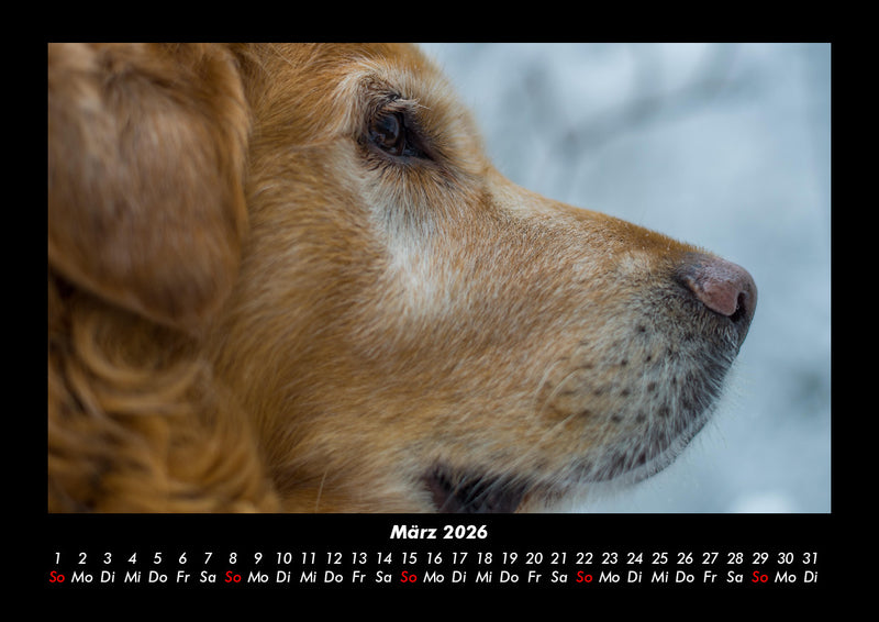 Tiere in der Wildnis Fotokalender 2026 - 3
