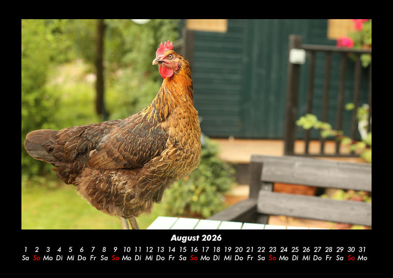 Tiere in der Wildnis Fotokalender 2026 - 8