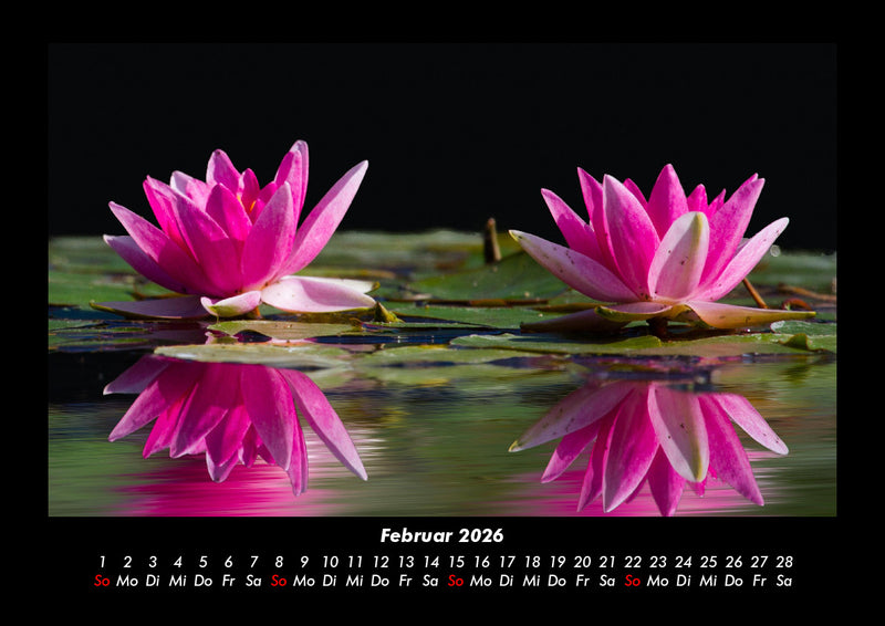 Rosentraum Fotokalender 2026 - 2