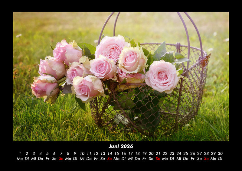 Rosentraum Fotokalender 2026 - 6