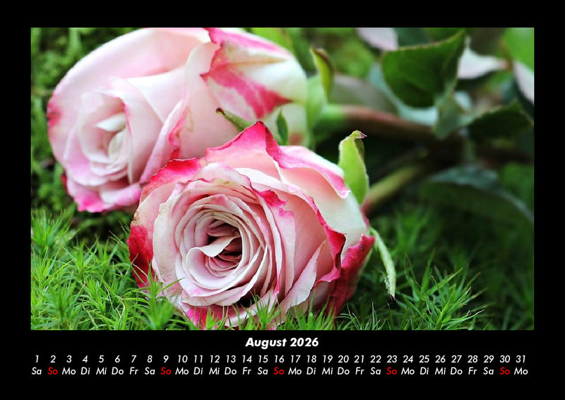 Rosentraum Fotokalender 2026 - 8