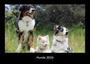 Hunde Fotokalender 2026 - Hauptbild