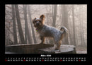 Hunde Fotokalender 2026 - 3