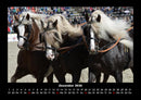 Die Welt der Pferde Fotokalender 2026 - 12