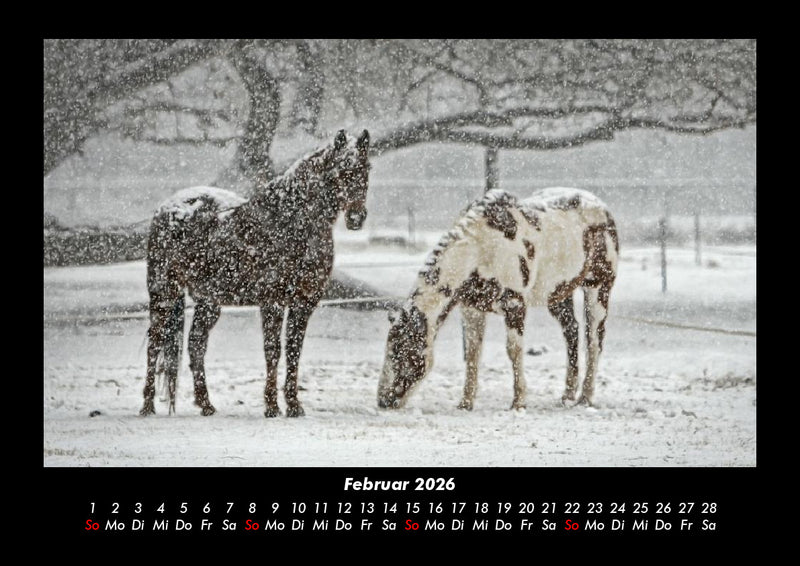 Die Welt der Pferde Fotokalender 2026 - 2