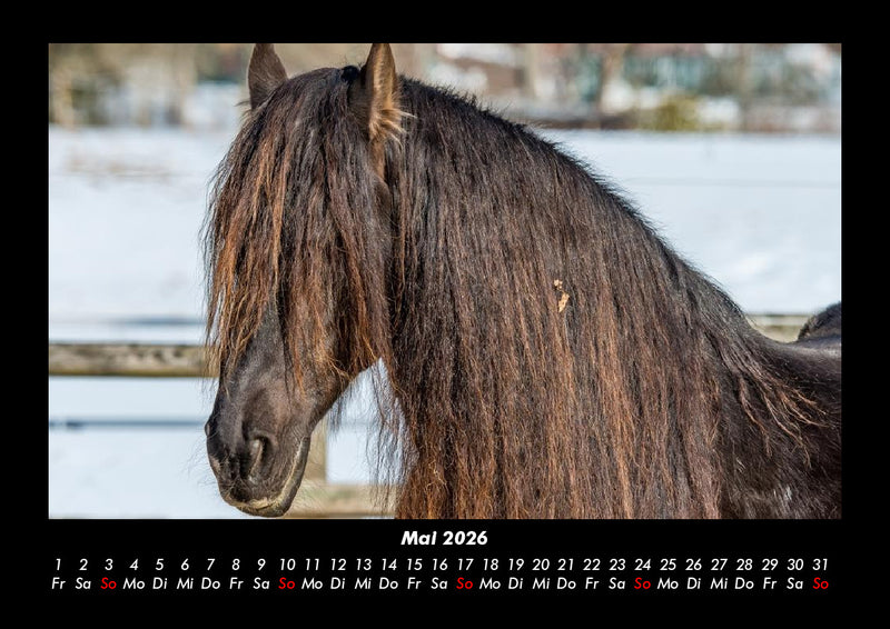 Die Welt der Pferde Fotokalender 2026 - 5