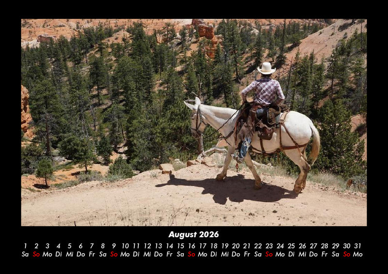 Die Welt der Pferde Fotokalender 2026 - 8