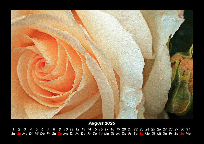 Rosentraum Fotokalender 2026 - 8