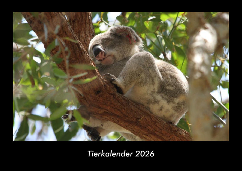 Tierkalender Fotokalender 2026 - Hauptbild